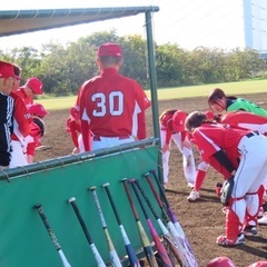 ソフトボール楽しみたい方募集中！ - スポーツ