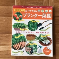 プランター菜園　本