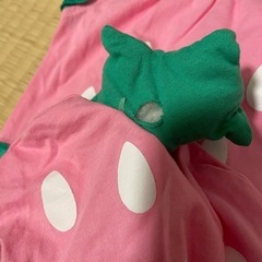 ベビー服　いちご　スイカ　コスプレ
の画像
