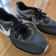 ナイキ　スニーカー　29.0cmの画像