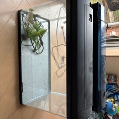 60センチ水槽
