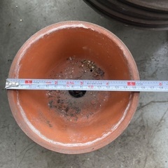鉢　養生鉢　化粧鉢　盆栽の画像