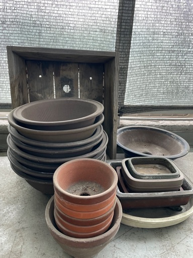 鉢　養生鉢　化粧鉢　盆栽