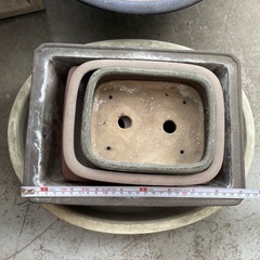 鉢　養生鉢　化粧鉢　盆栽の画像