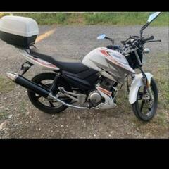 ヤマハYX125の画像