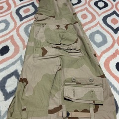 サンドカモの軍パンツ
の画像