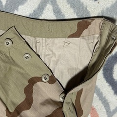 サンドカモの軍パンツ
の画像