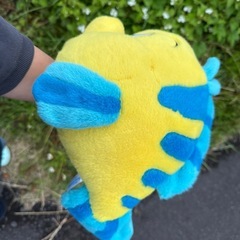 ぬいぐるみ
の画像
