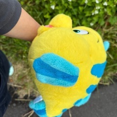 ぬいぐるみ
