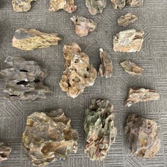 気孔石　まとめ売り　アクアリウム
　水槽 の画像