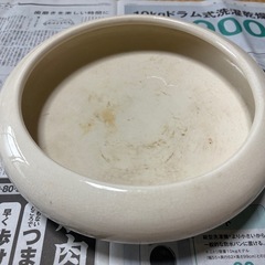 生花　水盤　白