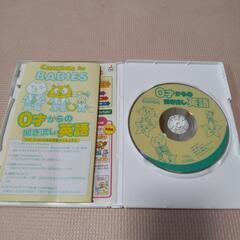 【美品】こども 知育  英語 幼児向け  DVD Catchat  for  Babies  43分  の画像