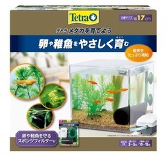 　水槽セット