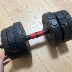 可変式ダンベル（バーベル）手動式の画像