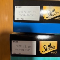 シーバーディオまとめ売りの画像