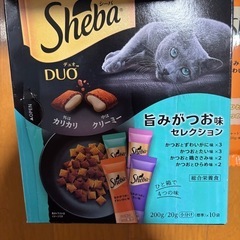 シーバーディオまとめ売りの画像
