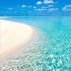 一緒に鵜原海水浴場に行きませんか