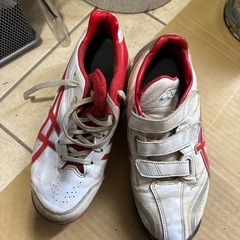 野球スパイク、トレシュー