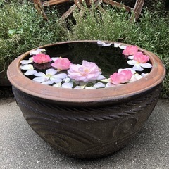 睡蓮鉢　ビオトープ　メダカ鉢　陶器　水瓶
