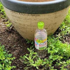 植木鉢　壺　6点セットの画像