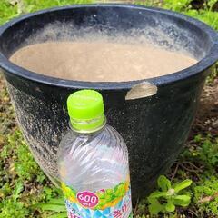植木鉢　壺　6点セットの画像