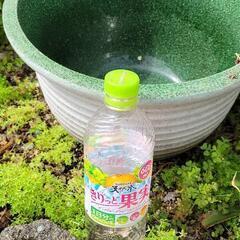 植木鉢　壺　6点セットの画像