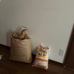 お米1キロ差し上げます