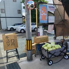 洗車屋 なのに キャベツ18:00まだありますよの画像