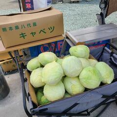 洗車屋 なのに キャベツ18:00まだありますよの画像