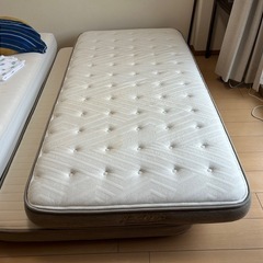 シングルベット