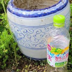 　植木鉢　壺⑥
