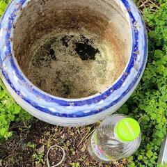 金魚鉢　植木鉢　壺⑥の画像