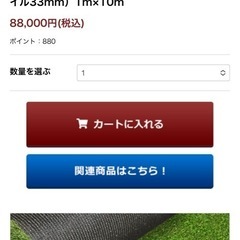 リアリーターフ人工芝の画像