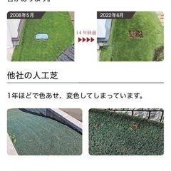 リアリーターフ人工芝の画像