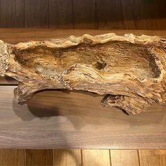 人工流木　プランターの画像