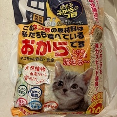 猫砂　おから