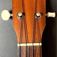 ウクレレ Hanalei HUK-10G 本体の画像