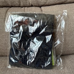 ランニングポーチ（セキュリティポーチ）の画像