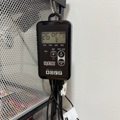 爬虫類ケージ(巾60)その他一式の画像