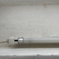 メッセージボード
の画像