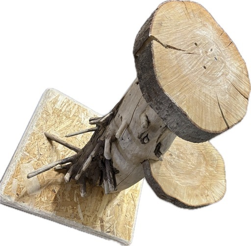 自作 流木 キャットタワー