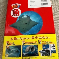 【再値下げ】学研の図鑑　LIVE 魚の画像