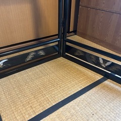 【決定】衣桁 漆 服掛ける道具の画像