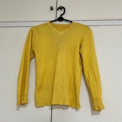 女性Tシャツの画像