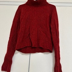 女性Tシャツの画像