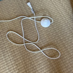 破けてます！の画像