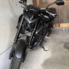 MT25 2025年モデル