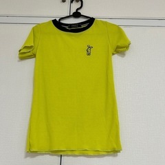 Tシャツの画像