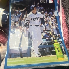 大谷翔平クリアファイルの画像