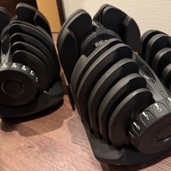可変式(アジャスタブル)ダンベル　40kg 2個の画像
